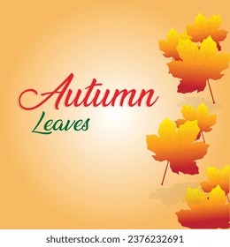 Botanical autumn collection. Seasonal set of hand drawn colorful fallen leaves, twigs, berries, acorns, forest mushrooms, tree branches. Cartoon textured vector illustration in realistic style