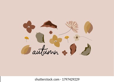 Botanical  autumn illustration set of different florals and dried leaves. Vector illustration