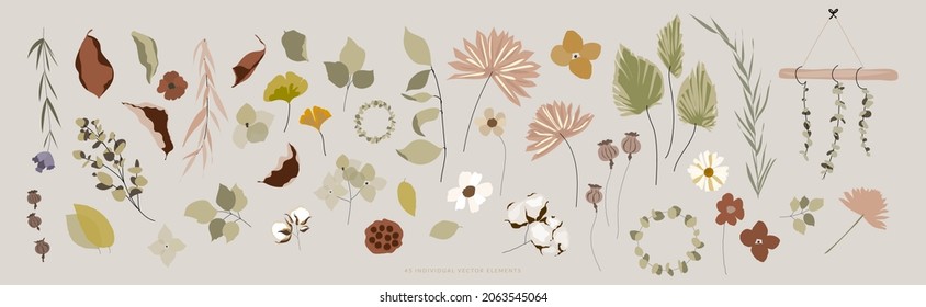 Botanical  autumn illustration set of different florals and dried leaves. Vector illustration