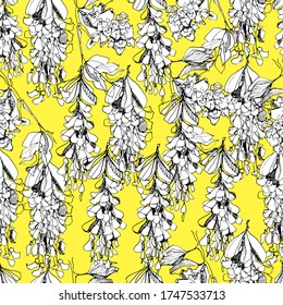Botanical background with acacia, pattern with white acacia bunches. hand graphics, for tea. Design for packaging, wallpaper, textiles, designer paper. Isolated background. stock graphics