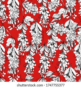 Fondo botánico con acacia, patrón con racimos blancos de acacia. gráficos de mano, para el té. Diseño de embalajes, tapicería, textiles, papel de diseño. Fondo aislado. gráficos de stock