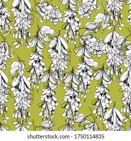 Botanical background with acacia, pattern with white acacia bunches. hand graphics, for tea. Design for packaging, wallpaper, textiles, designer paper. Isolated background. stock graphics