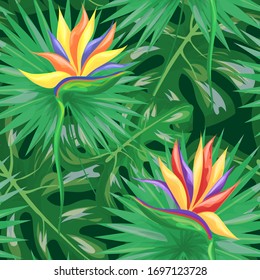 Botanical background. Exotic tropical flowers and leaves. Seamless pattern for banners, cards, fabric and web design. Isolated vector illustration.