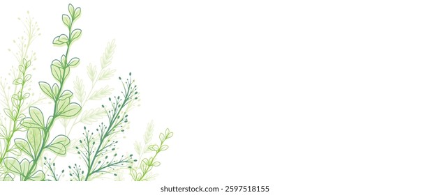 Botanical background with floral elements. Flower and leaf frame design template. Vector illustration