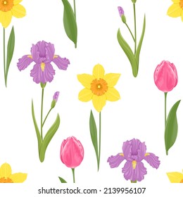Botanical background. Floral seamless pattern. Spring flowers daffodils, purple irises and pink tulips with green leaves. Vector illustration of plants in cartoon flat style.