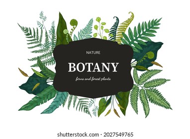 Botanical background. Hand drawn wallpaper with forest foliage. Green fern sprouts and bourgeon. Frame with lettering and decorative wild plant leaves. Vector floral design template