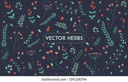Botanical background: herbs, leaves and flowers of simple form on a dark background. Concept of spring, summer. Cute herbs for postcards, prints. Flat, pattern. Suitable for packaging design.
