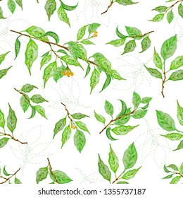 Botanical background, laurel, ficus, tea. Fresh green leaves. Colorful seamless pattern. Theme design cover, invitation, booklet, printing.