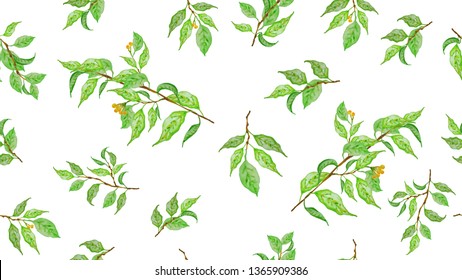 Botanical background, laurel, ficus, tea. Watercolor seamless pattern. Fresh spring leaves. Theme design cover, invitation, booklet, printing.