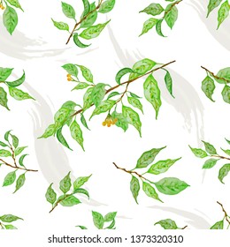 Botanical background, laurel, ficus, tea. Theme design cover, invitation, booklet, printing. Fresh green leaves. Colorful seamless pattern.