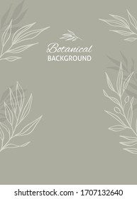 Botanischer Hintergrund mit Olivenblättern.