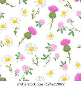 Botanical background with summer wild flowers and herbs. Milk thistle, chamomile and clover seamless pattern. Vector floral illustration in cartoon flat style.