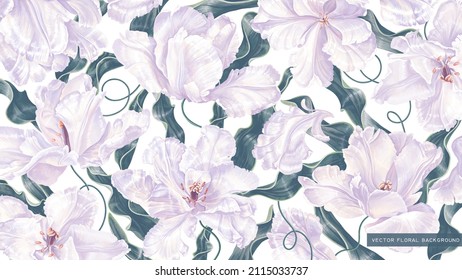 Botanical background with tulip blossoms. Unusual variety of tulip crossed with iris, in floral wallpaper for computer desktop, tablet, mobile phone, social media covers postcards and other designs.