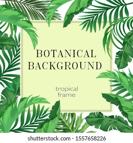 Botanical background. Vector exotic frame with palm leaves. Template for banner, web and cover design.