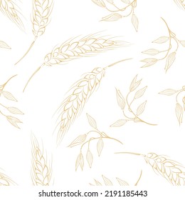 Botanical background. Vector seamless pattern with yellow ears of oats and wheat outline on white.