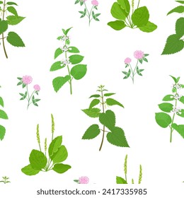 Botanical background with wild herbs. Seamless pattern with branches of nettle, lemon balm, green plantain leaves and clover flowers. Vector cartoon illustration of meadow plants on white.