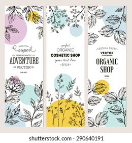 Botanical banner collection. Organic cosmetic. Vector illustration
