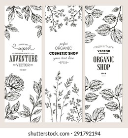 Botanical banner collection. Organic cosmetic. Vector illustration