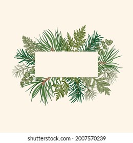 Botanical banner with fir and pine branches, fern and leaves. Vector vintage card. Christmas design. Holiday frame with greenery and conifers. Green pattern isolated on white background. Sketch.