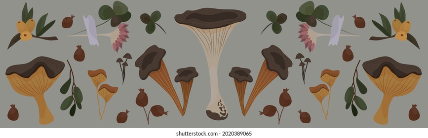 A botanical banner. Ingredients for the potion. Vector illustrations of plants, mushrooms for books, games. Vintage vector botanical illustration. Set. Autumn. Drawing engraving sketch retro.