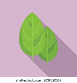 Botanical basil icon flat vector. Herb leaf. Cooking plant