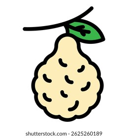 Botanical bergamot icon. Outline botanical bergamot vector icon color flat isolated