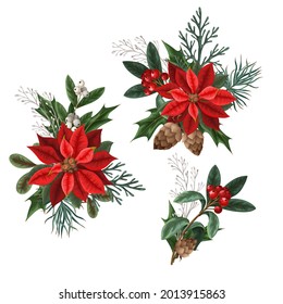 Botanical berries, pines and leaves for Christmas design isolated