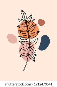 Botanical black line art illustration with colorful abstract spots on a beige background. Trendy print for any purposes. 