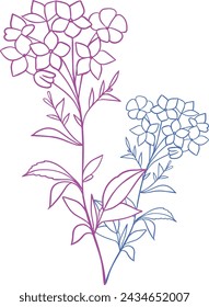 Botanical Black and white Natural Elements vector background