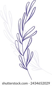 Botanical Black and white Natural Elements vector background