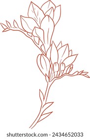 Botanical Black and white Natural Elements vector background