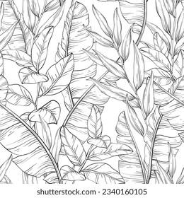 Botanical Black and white seamless pattern, tropical and banana leaves, vector illustration