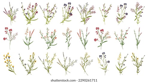 Botanical blossom floral elements. Big set small hand drawing branches, leaves, herbs, wild plants, flowers. Garden, meadow, field plants collection. Bloom bouquets vector illustration