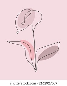 Botanical, boho plant, poppy flower prints boho vector wall art trendy picture. Bohemian style with line art elements. Minimalist abstract plant  branch art boho design for cover, poster, wallpaper.