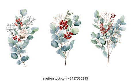 Botanischer Bouquet-Illustrationssatz.  Schöner Eukalyptus und roter Beerenstraub auf weißem Hintergrund. Rot, weiß, grüner Ast und Blätter. Vektorgrafik