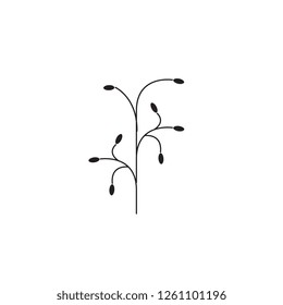 Botanical branch black vector concept icon. Botanical branch flat illustration, sign