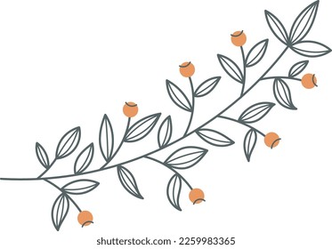 Botanical branch with leaves and blossom. Decorative ornate element