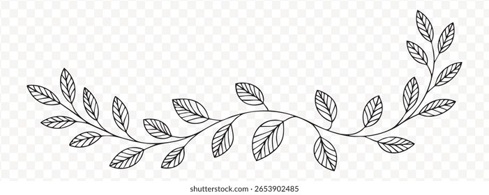 A botanical branch vector transparent png design. Features leafy accent decoration, elegant floral element, and natural foliage illustration on a transparent backdrop.