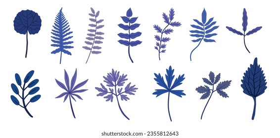 Botanical Branches and Leaves Vector Set