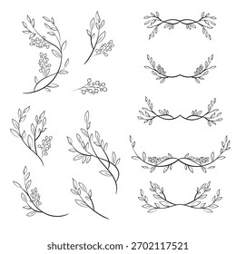 Botanical branches vector set, minimal floral line art elements for any design