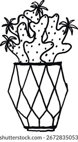 Cactus botánico para el interior del hogar