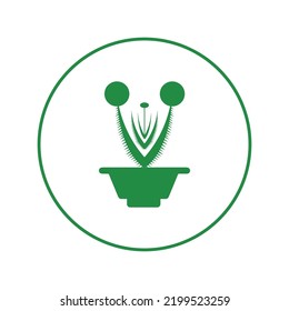 Botanical cactus prickly plant icon | Circle version icon |