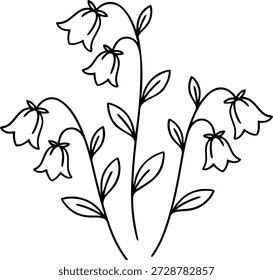 Botanical Campanula Flower Vector Graphic - full Customizable design