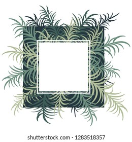Botanical card with palm leaves. Vector image. Eps 10