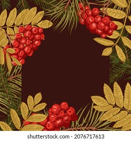 Botanical card with rowan, pine and fir branches. Christmas dark background. Square frame with conifers and red berries. Red and green pattern.