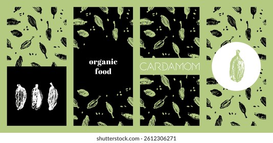 Botanische Kardamom-Muster - Organische Gewürzdarstellung für die Verpackung. Vertikales Vektorset mit nahtlosen Kardamom-Hintergründen für Etikettenschablonen, Teebeutel, Bio-Kosmetik, Öko-Branding.
