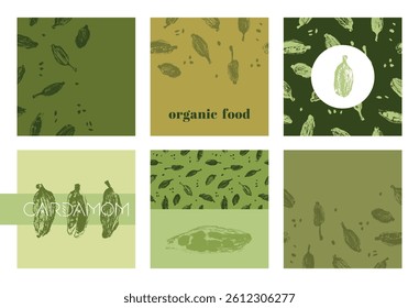 Botanical Cardamom Patterns — Organic Spice Illustration for Packaging. Square vector set with seamless cardamom backgrounds for label templates, tea boxes, organic cosmetics, eco branding. 