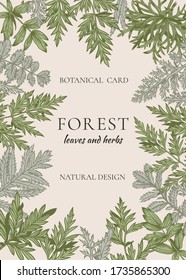 Botanical cards with leaves and herbs.Vector botanical illustration. Greens color.