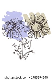 Vector de arte de la pared chamomile botánico. Dibujo minimalista de líneas de follaje boho con forma abstracta. Resumen Diseño de arte vegetal para la impresión, cubierta, papel pintado, arte de pared mínimo y natural.