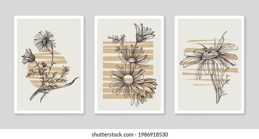 Botanical chamomile wall art vector set. Minimalist boho foliage line art drawing with abstract shape. Abstract Plant Art design for print, cover, wallpaper, Minimal and natural wall art.